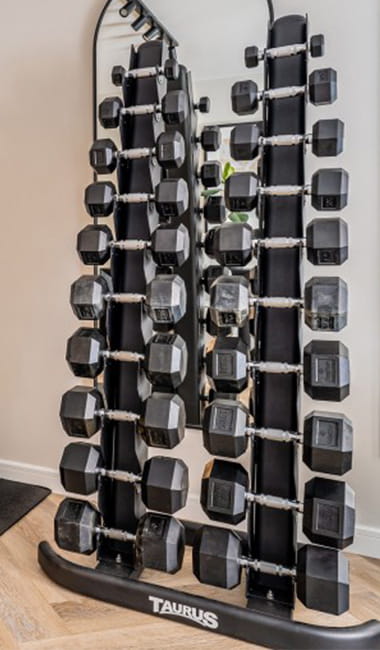 dumbbell_storage_racks